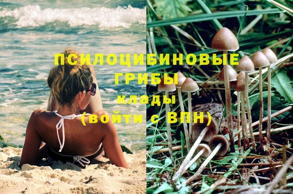 тгк Сосновоборск
