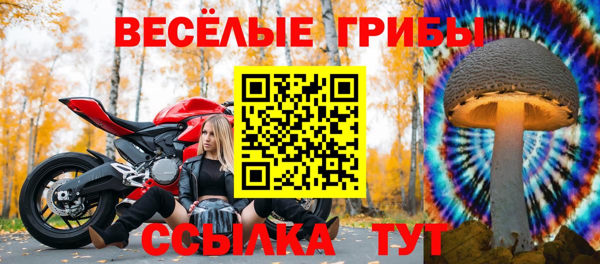 Галлюциногенные грибы мухоморы Фурманов