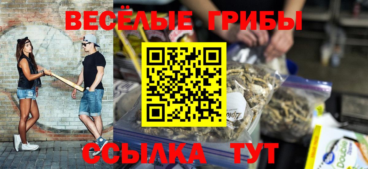 Галлюциногенные грибы прущие грибы  Галлюциногенные грибы прущие грибы  Фурманов 