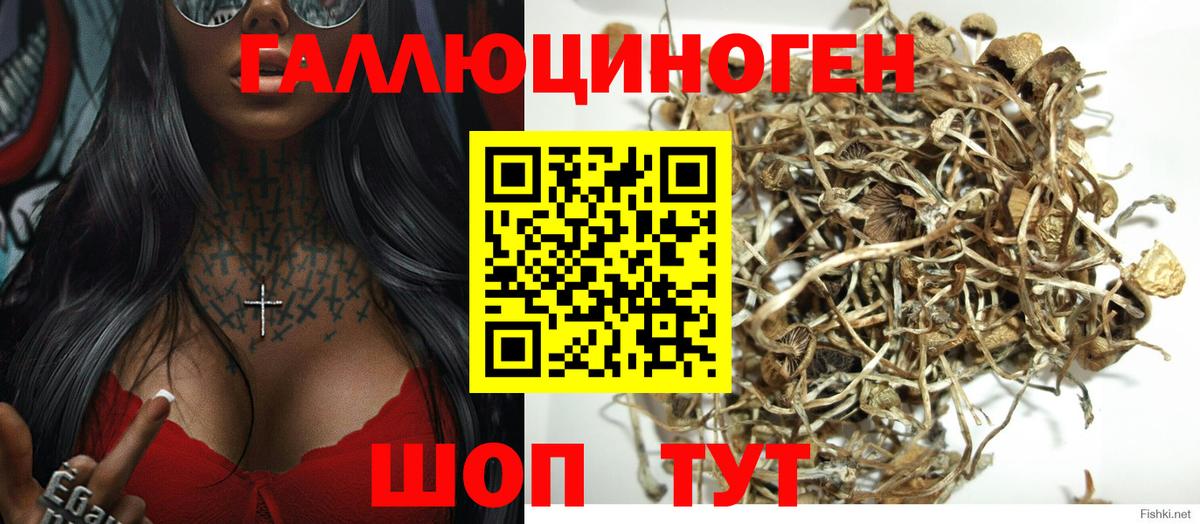 Фурманов  Псилоцибиновые грибы мицелий  Вход с VPN 