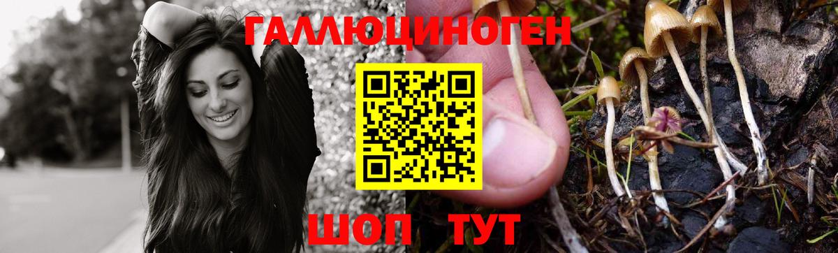 Псилоцибиновые грибы ЛСД Фурманов